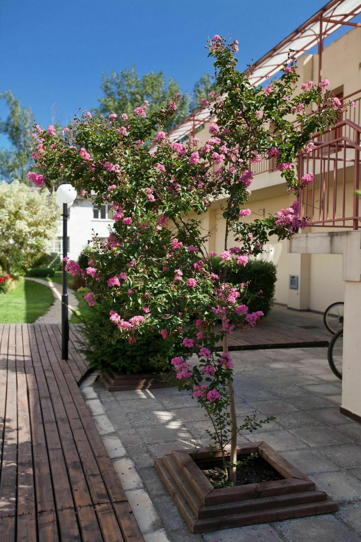 Apartments In Central Plaza Sunny Beach Exterior photo
